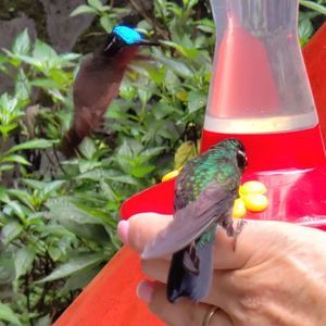 Meet your Posher, Rocio